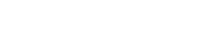 LitLingo Logo