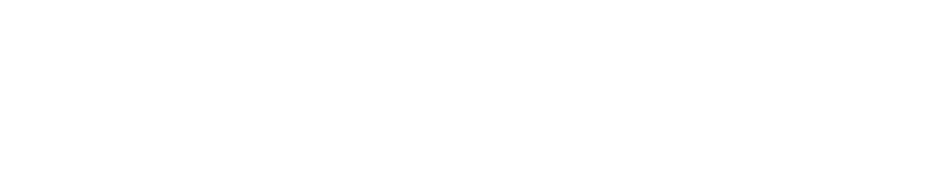 Level AI Logo