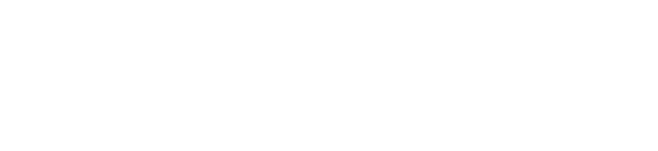 Working Solutions Logo