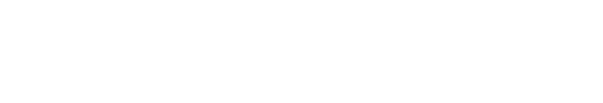 lancesoft Logo