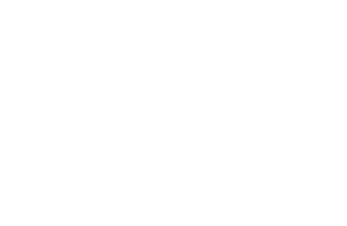 Cognota Logo